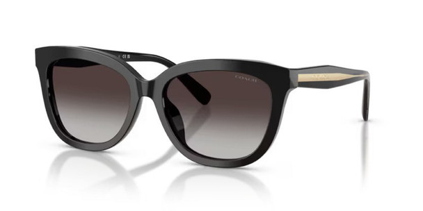 COACH CDP53 BLACK GREY GRADIENT - SUNGLASS COACH  - 8453U50028G