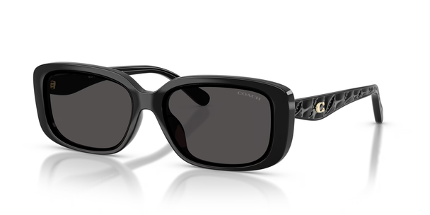 COACH CBY86 BLACK W/ GREY SOLID - SUNGLASS COACH  - 8444D500287
