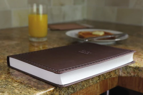 Holy Bible - NIV - Value Thinline, Large Print