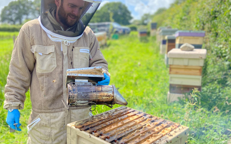 Bee friendly and safe wood stains and paints