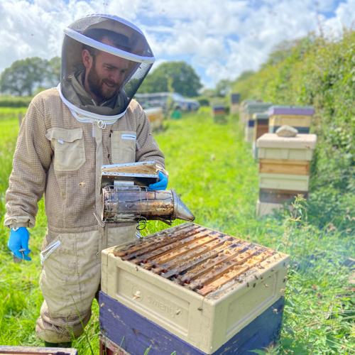 Beehives painted in our Royal Exterior by a beekeeper 