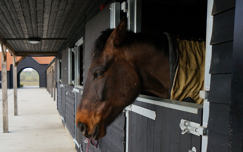 Stable Coat in Black