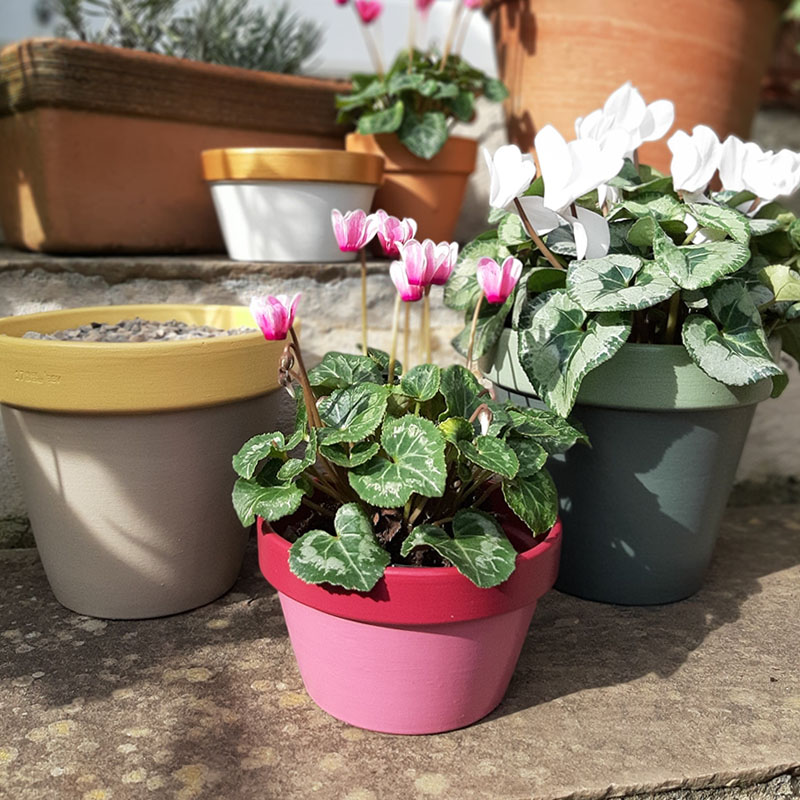 How to paint and pot outdoor plant pots