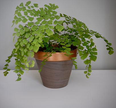 Wood paint craft ideas with a fern and plant pot