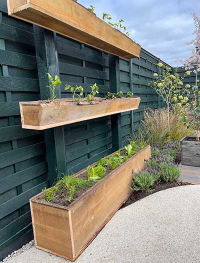 David made a vertical veg plot crammed with lots of trailing plants to make the most of the height and space.