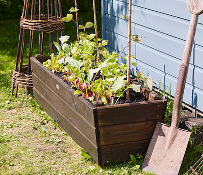 Vegetable Planter in Timber Eco Shield Dark Brown