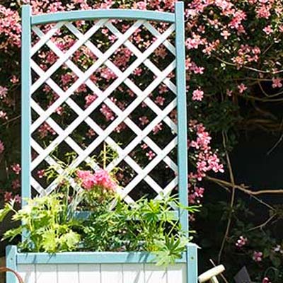 Update Your Old and Dated Trellis