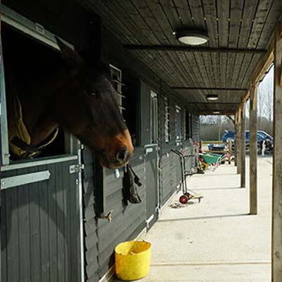 Stables