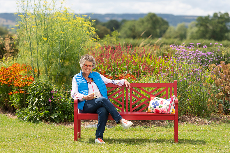 Prue's Great Garden Plot 