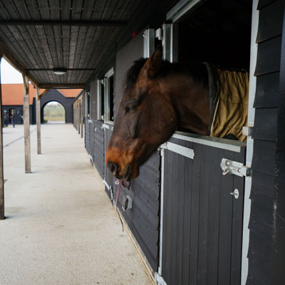 Protek stables with wood stain and paints