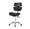 FYT Artist Chair (Separable Backrest)