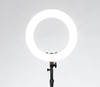 Orbit Halo Lamp
