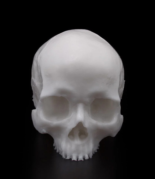Yorick Skull