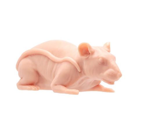 Naked Rat - Skin Tone 2