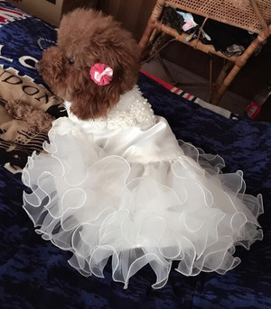 Color: A1A, Size: XS - Various Luxury Princess Pet Dog Wedding Dress Cat Dress Puppy Skirt Clothes 
