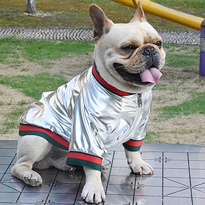 Color: Silver, Size: L - Pure Color Tide Brand Waterproof Pet Clothes