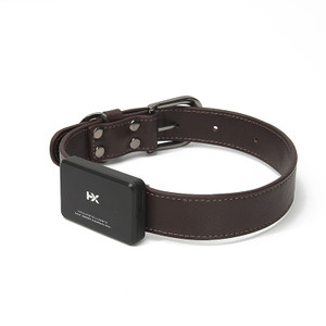 Color: Medium brown - RY pet locator