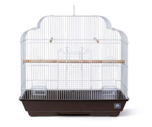 Prevue pet Keet or Tiel Cascade Roof Cage