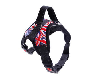 Color: 2style, Size: L - Pet Chest Strap Leash For Medium And Large Dogs