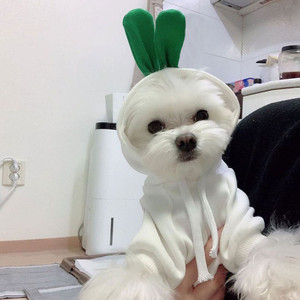 Color: White, Size: XS - Cute Pet Dog Clothes Cartoon Clothes for Dogs Cotton Dog Cat Vest Shirt