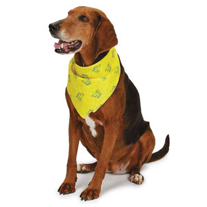 Aria Bark Its My Birthday Bandanas 6 count