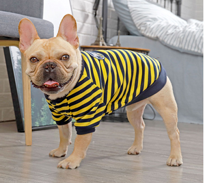 Color: Yellow, Size: S - Dog sweater