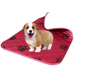 Color: Wine red, Size: 40x60cm - Kennel pad dog bed pet cat pad