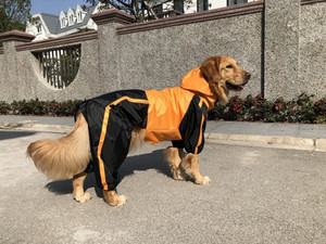 Color: Orange, Size: XS - Large dog pet raincoat