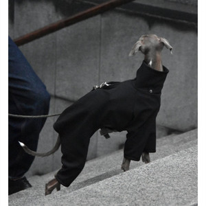 Color: Black, Size: M - Punching Raincoat Dog Four Feet Windproof Jacket