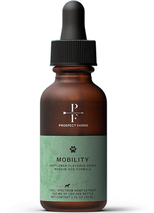 ALCOTT Bamboo Groom Curry Brush w Rubber Bristles