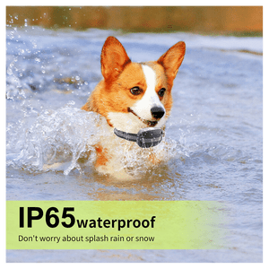 GPS Wireless Dog Fence Pet Containment System Waterproof Training Collars