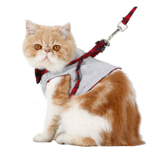 Color: Green, Size: S - Cat Dog Harness Walking Fabric Harness Jacket