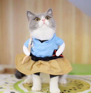Color: Blue, Size: L - Pet Dog Cat Transformed Clothes Upright Clothes Halloween Pet Dress
