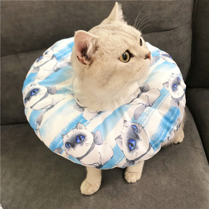 Color: Tsundere cat blue, Size: XS - Anti-scratch Headgear