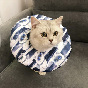 Color: Tsundere Cat Gray, Size: S - Anti-scratch Headgear