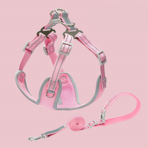 Color: Pink, Size: M - Pet Small And Medium Sized Dog Vest Collar Traction Rope