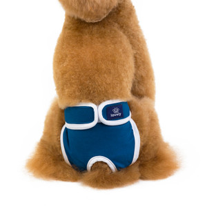 Color: Blue, Size: L - Menstrual Period Anti-harassment Pet Physiological Pants