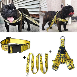 Color: DARK GRAY, Size: XL - Fashion Dog Collar Leash Set Gold Chain Nylon Pets Dog Collar Leash Lo
