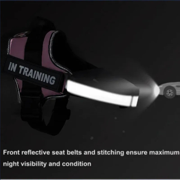 Color: PURPLE, Size: M - Custom Dog Harness Reflective and Breathable Adjustable Tank Top Free Pers