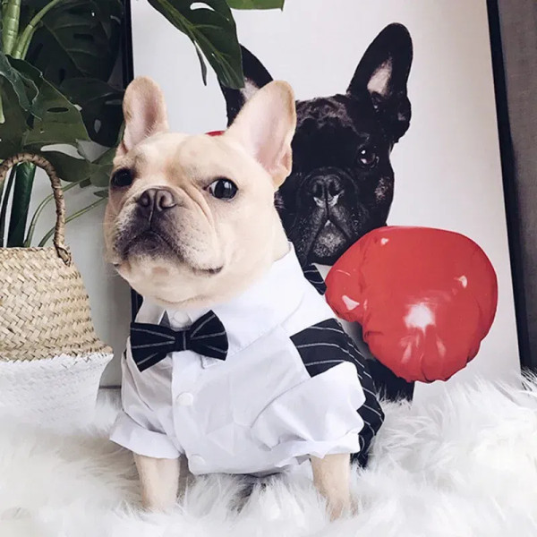 Color: Red, Size: XXS - Dog Gentleman Wedding Suit Clothes Dog Suit Bow Tie Clothes Halloween Chris