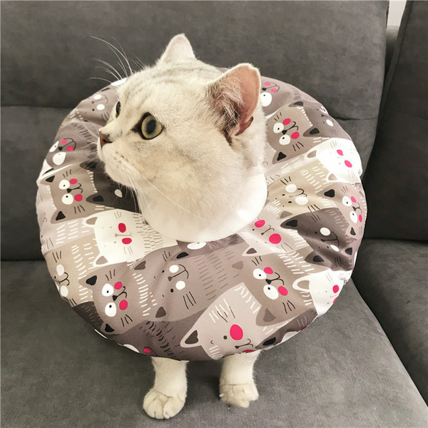 Color: Little cat gray, Size: S - Anti-scratch Headgear