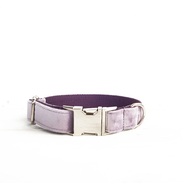 Color: Light purple Collar, Size: XS - Collar and leash for pet dogs