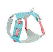 Color: Pomegranate Green, Size: L - Dog Chest And Back Hand Holding Rope Walking Young Medium Large