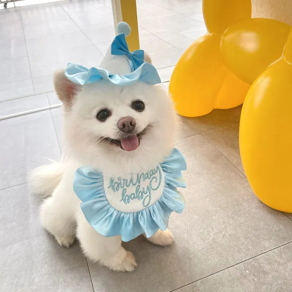 Color: Green, Ships From: CHINA - Pet Dog Birthday Party Dress hat Caps and Scarf Cute Hat Bib Cat 