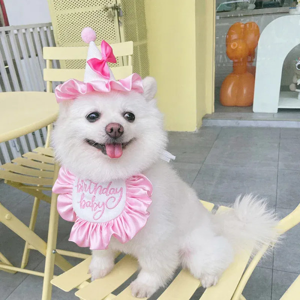 Color: Green, Ships From: CHINA - Pet Dog Birthday Party Dress hat Caps and Scarf Cute Hat Bib Cat 