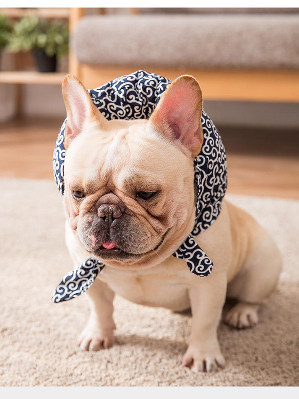 Color: Blue, Size: S - Sell cute pillow scarf pet