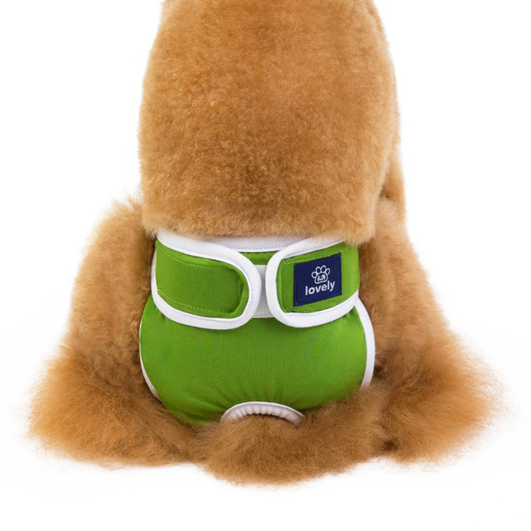 Color: Green, Size: L - Menstrual Period Anti-harassment Pet Physiological Pants