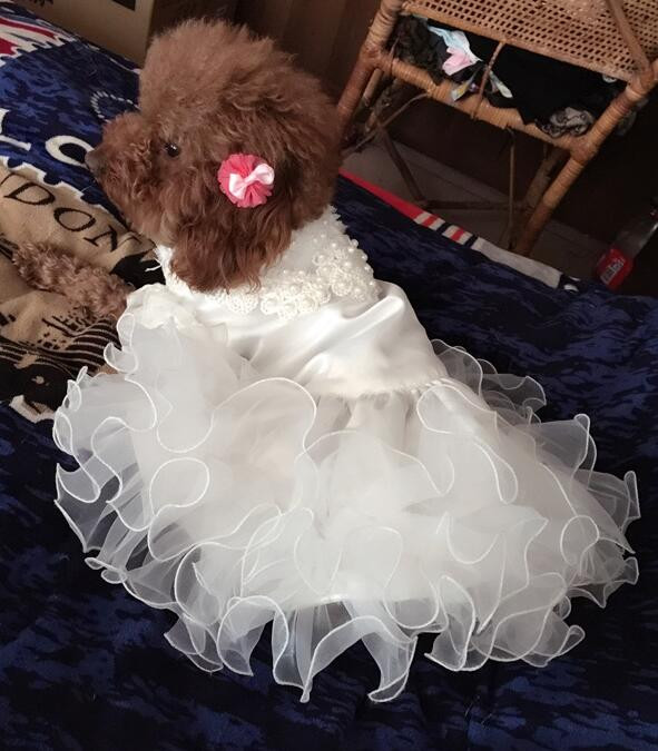 Color: A5A, Size: S - Various Luxury Princess Pet Dog Wedding Dress Cat Dress Puppy Skirt Clothes P