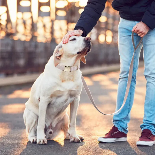 Color: Pink, Size: M - Customized Deerskin Cat and Dog Collar, Adjustable Rope Set, Durable and Per