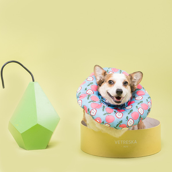 Color: Blue apple, Size: M - Dog cat bib head circle